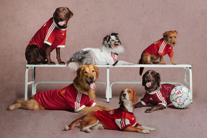 愛犬とリンクコーデ！アディダスから欧州名門クラブのペット用コレクションが登場
