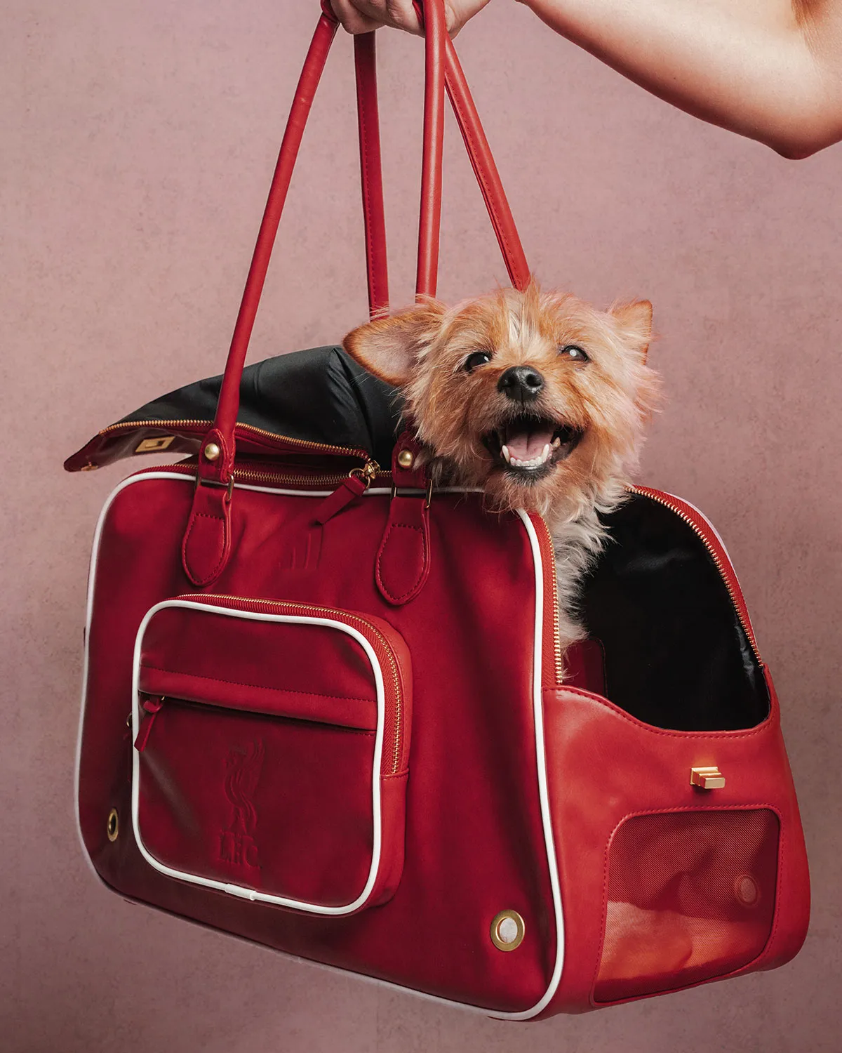 愛犬とフットボールを愛するすべての人へ。アディダスから「クラブユニフォーム」のペット用コレクションが登場