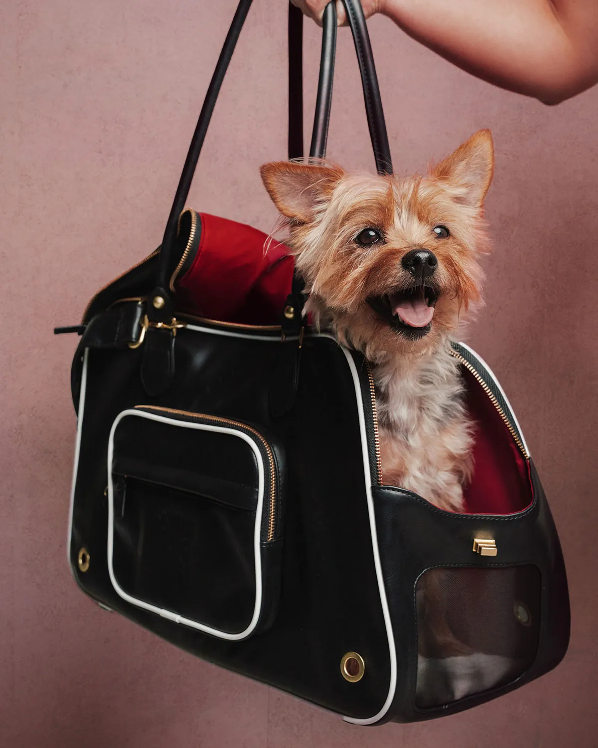 愛犬とフットボールを愛するすべての人へ。アディダスから「クラブユニフォーム」のペット用コレクションが登場